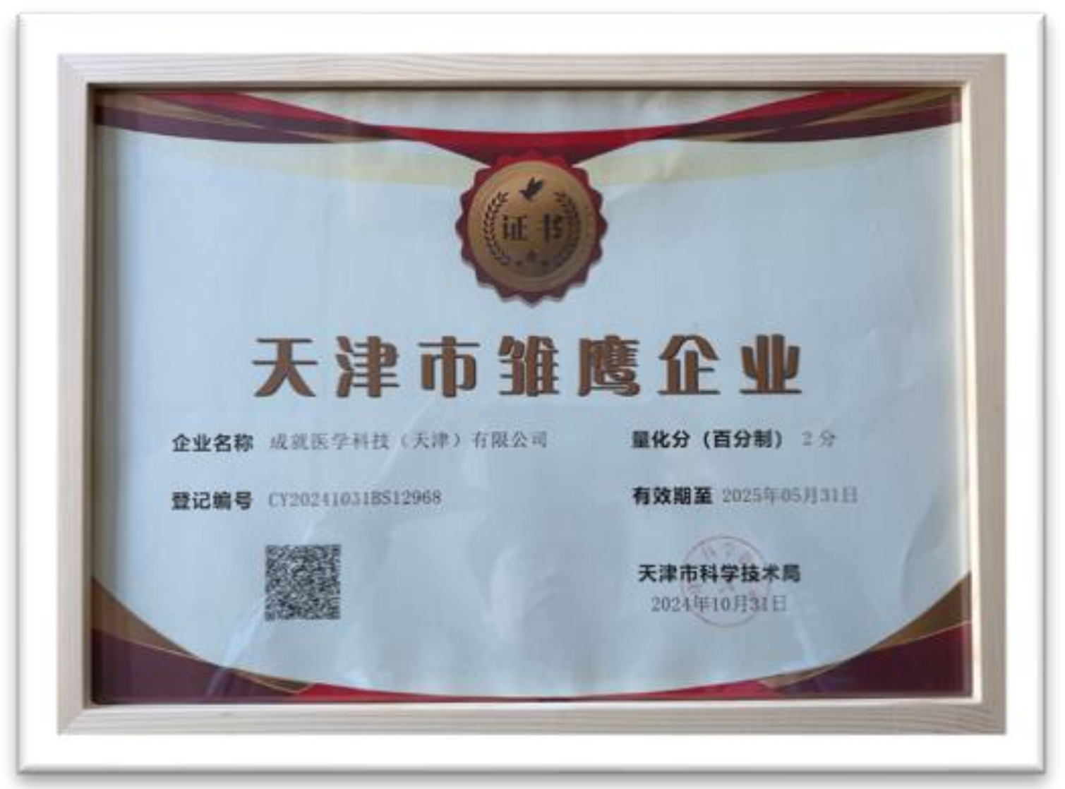 天津市雏鹰企业
